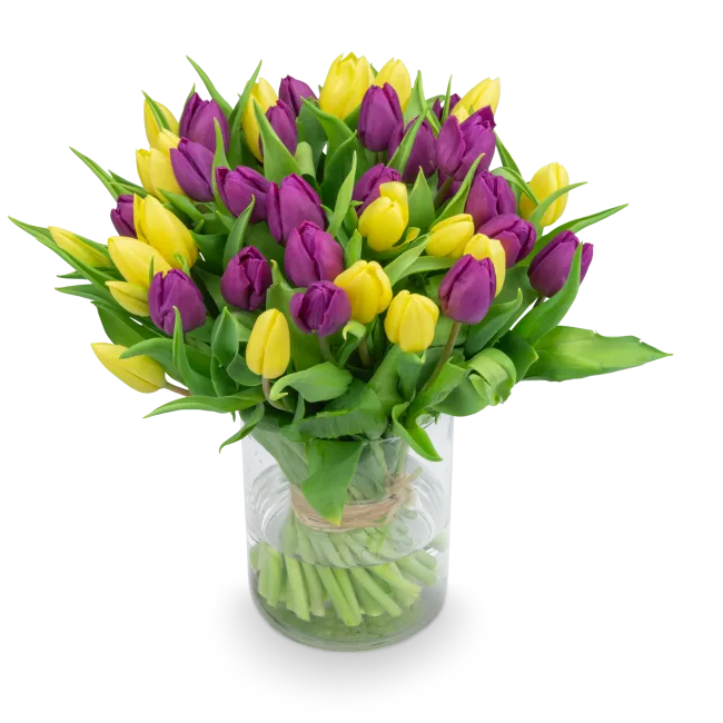 Bouquet of tulips